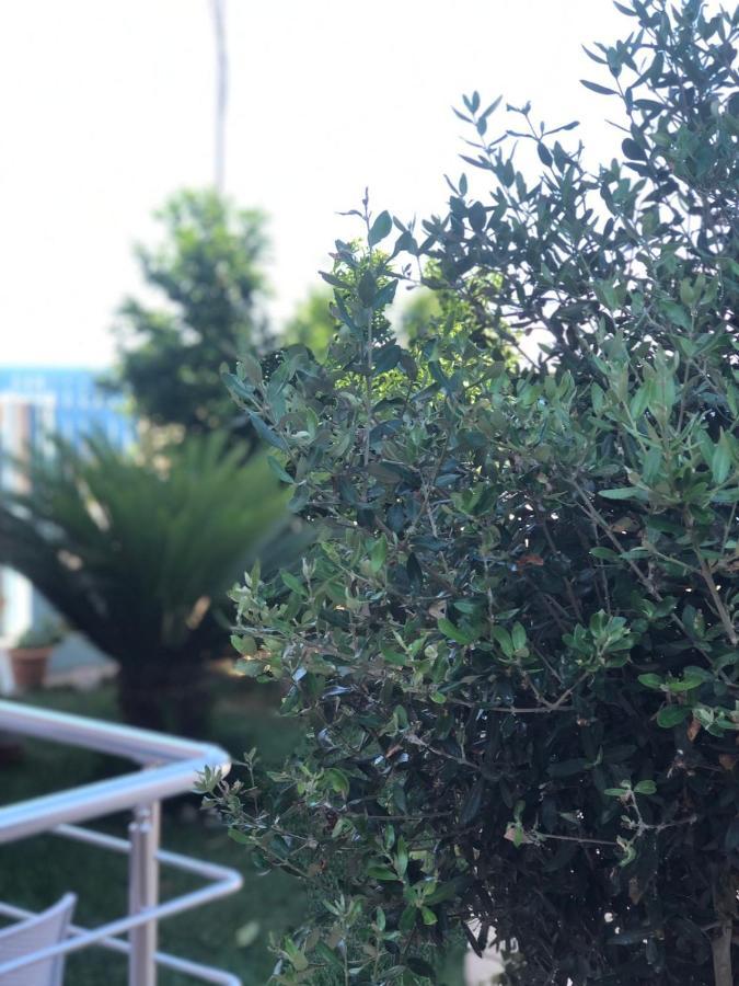 Sunset Apartments Berdenesh Sarande Luaran gambar